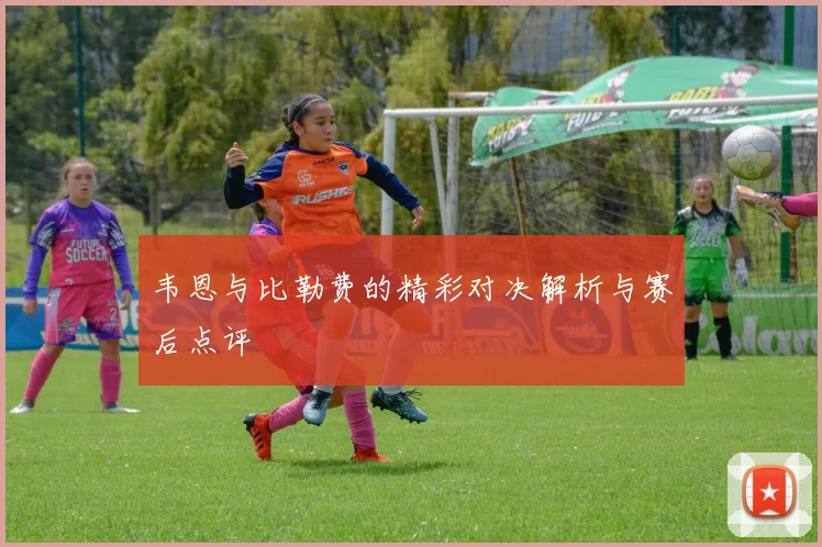 韦恩与比勒费的精彩对决解析与赛后点评