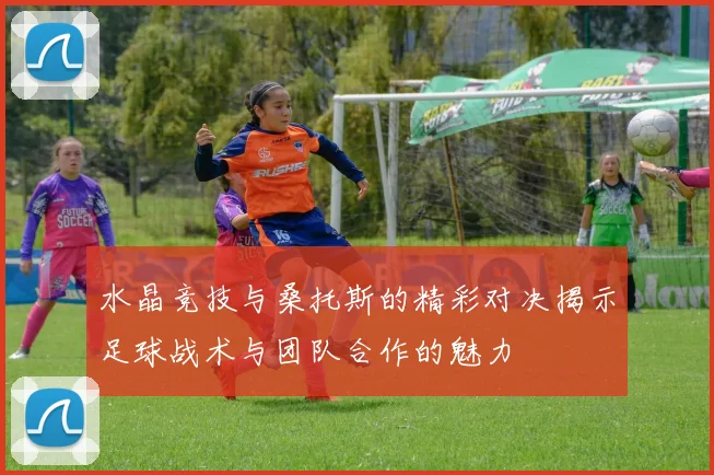 水晶竞技与桑托斯的精彩对决揭示足球战术与团队合作的魅力