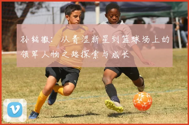 孙铭徽：从青涩新星到篮球场上的领军人物之路探索与成长