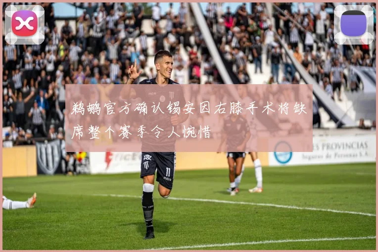 鹈鹕官方确认锡安因右膝手术将缺席整个赛季令人惋惜