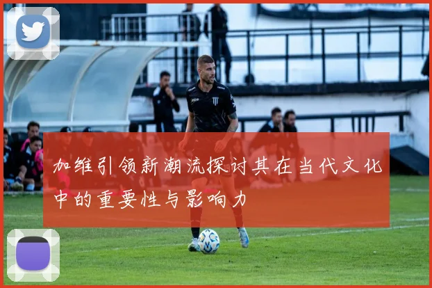 加维引领新潮流探讨其在当代文化中的重要性与影响力