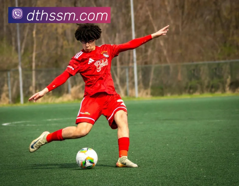 多媒体互动体验